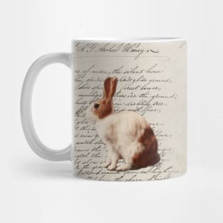 dark academia fairy woodland nursery easter bunny wild hare rabbit Mug